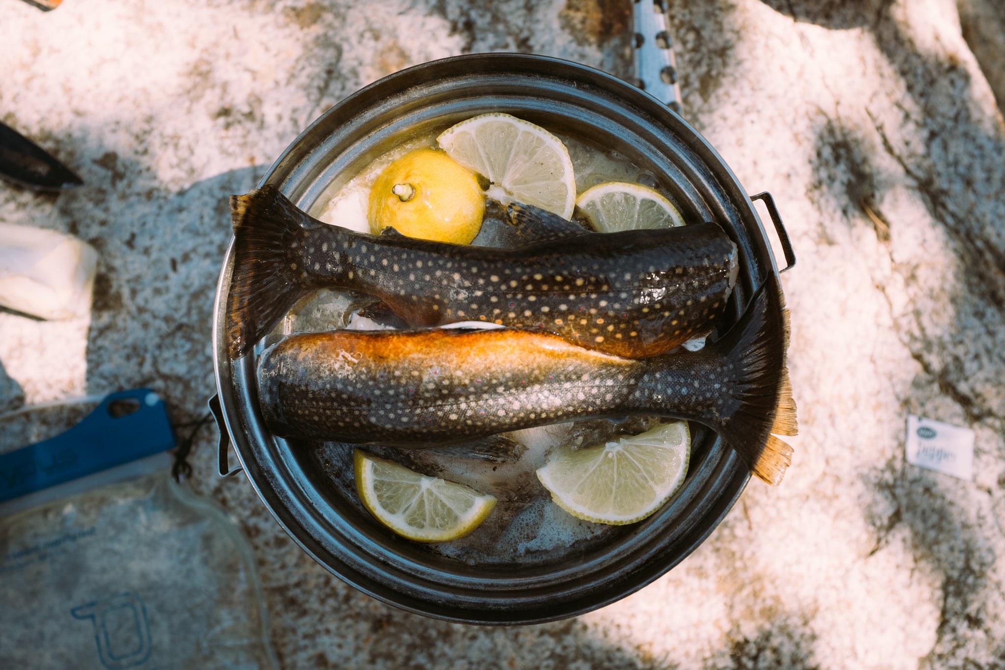 Braten in Edelstahlpfannen - so geht's!